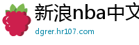 新浪nba中文网